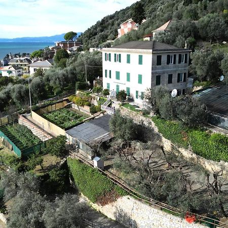 Cav Gli Ulivi Di Bogliasco Villa Bagian luar foto