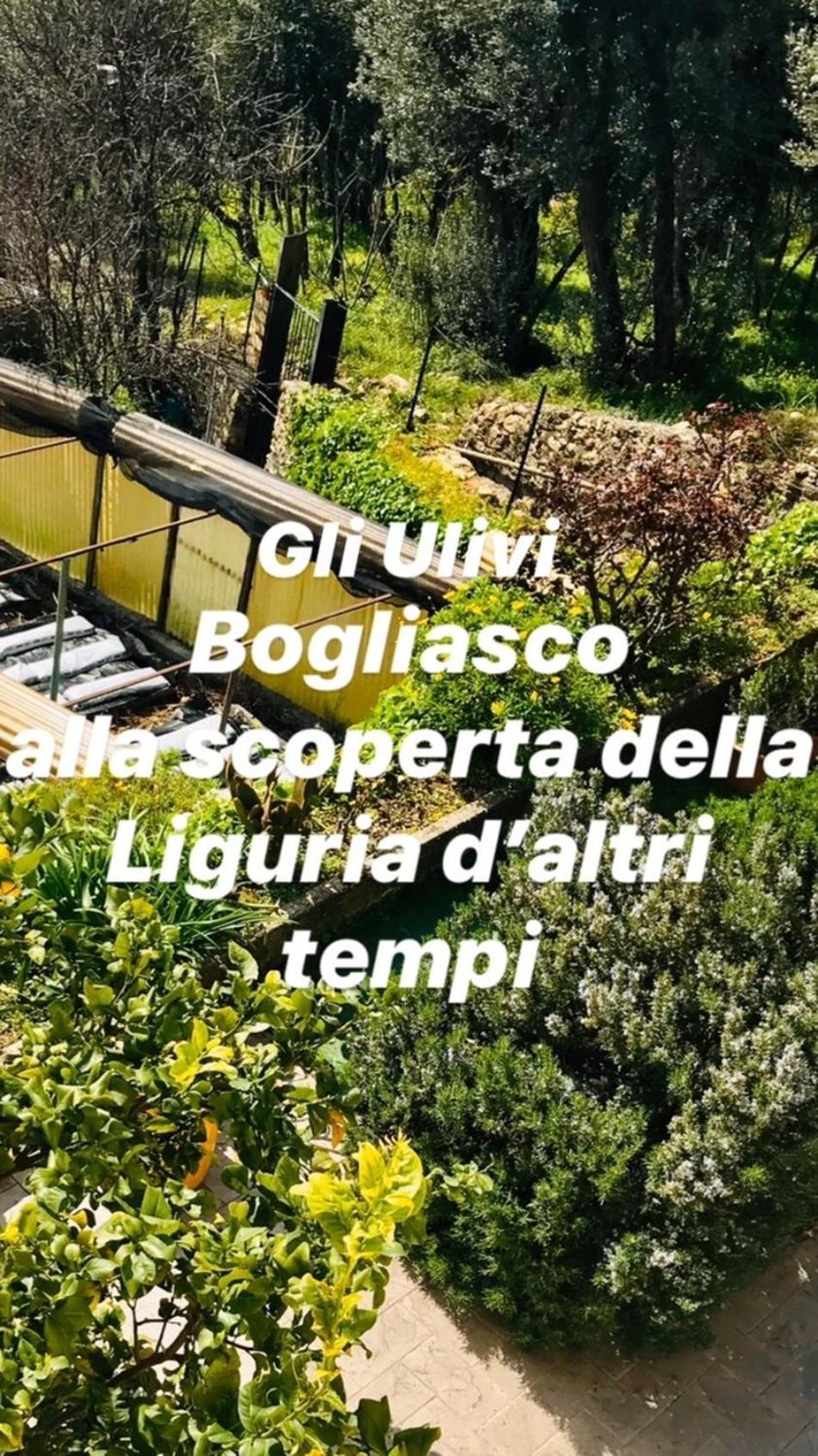 Cav Gli Ulivi Di Bogliasco Villa Bagian luar foto