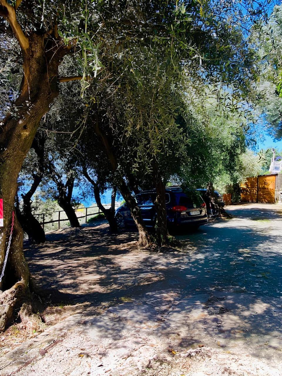 Cav Gli Ulivi Di Bogliasco Villa Bagian luar foto