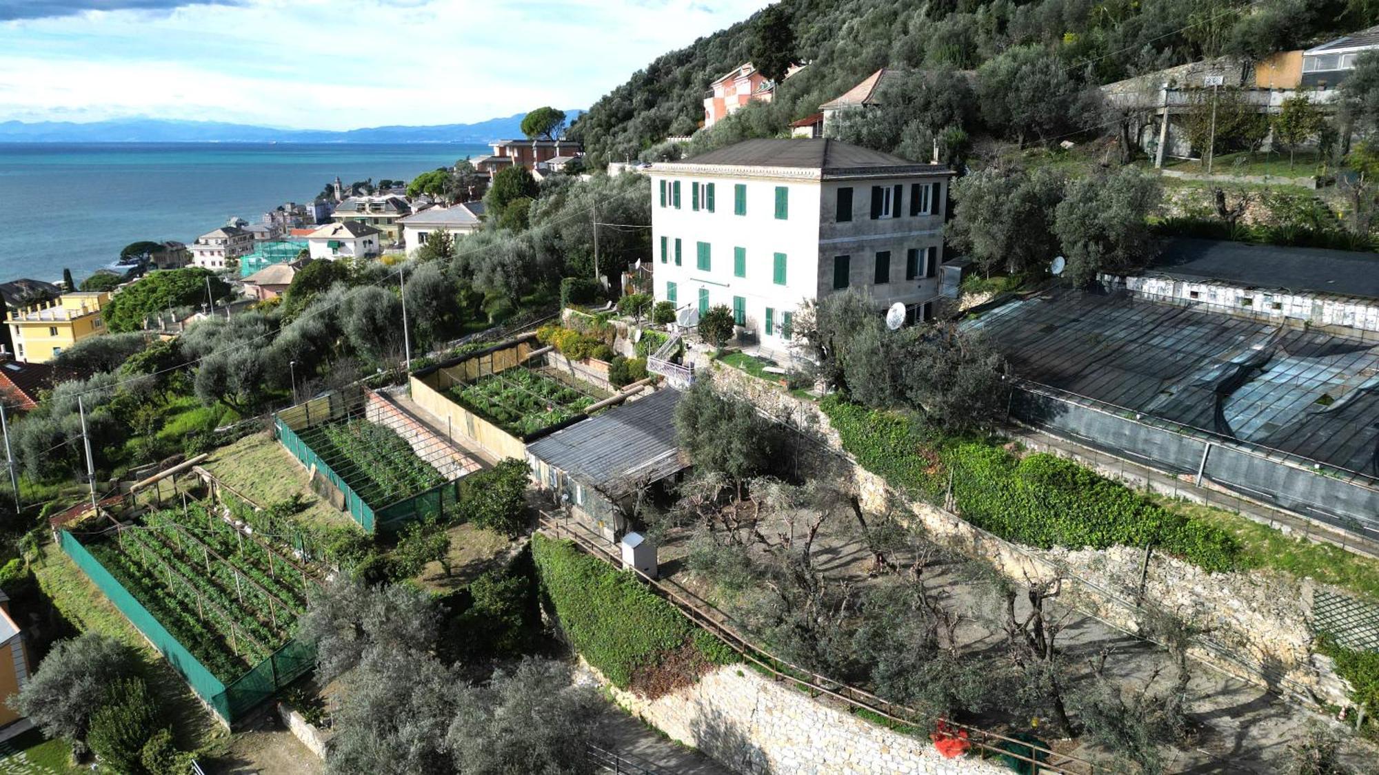 Cav Gli Ulivi Di Bogliasco Villa Bagian luar foto