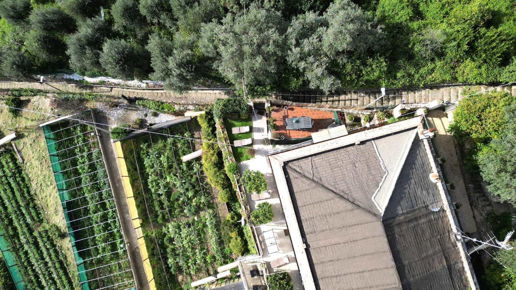 Cav Gli Ulivi Di Bogliasco Villa Bagian luar foto