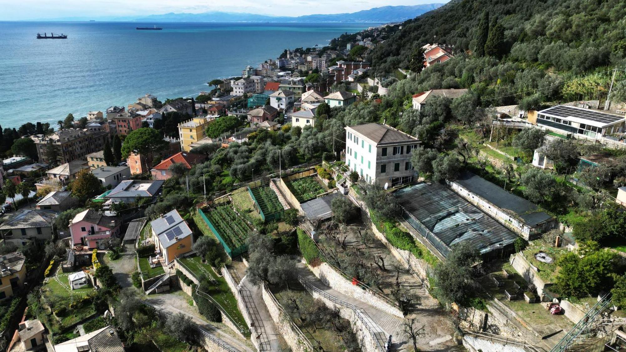 Cav Gli Ulivi Di Bogliasco Villa Bagian luar foto